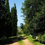 Vale Do Guizo: Casa Poente On The Contryside, Close By The Sea. 別荘 アルジェズール