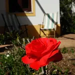 Vale Do Guizo: Casa Poente On The Contryside, Close By The Sea.