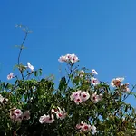 Vale Do Guizo: Casa Poente On The Contryside, Close By The Sea. 別荘