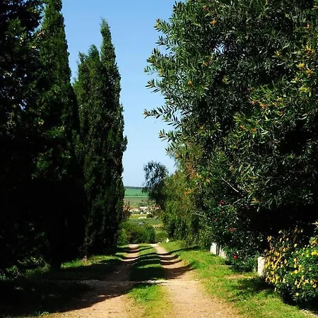 Vale Do Guizo: Casa Poente On The Contryside, Close By The Sea. 別荘 アルジェズール