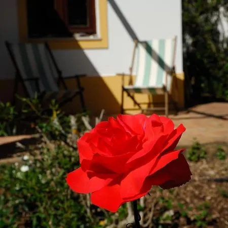 Vale Do Guizo: Casa Poente On The Contryside, Close By The Sea.