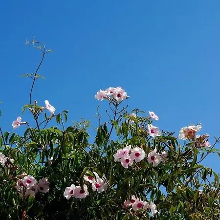 Vale Do Guizo: Casa Poente On The Contryside, Close By The Sea. Holiday home