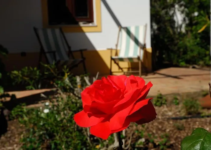 Vale Do Guizo: Casa Poente On The Contryside, Close By The Sea.